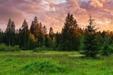 Posnetek zaslona 2025-07-24 102951